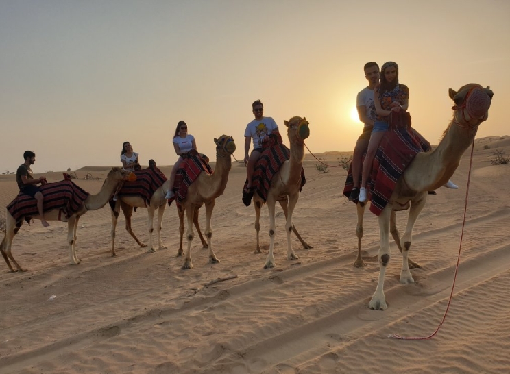 Thrilling Red Dune Safari + Quad Bike jhxuVojq.jpg